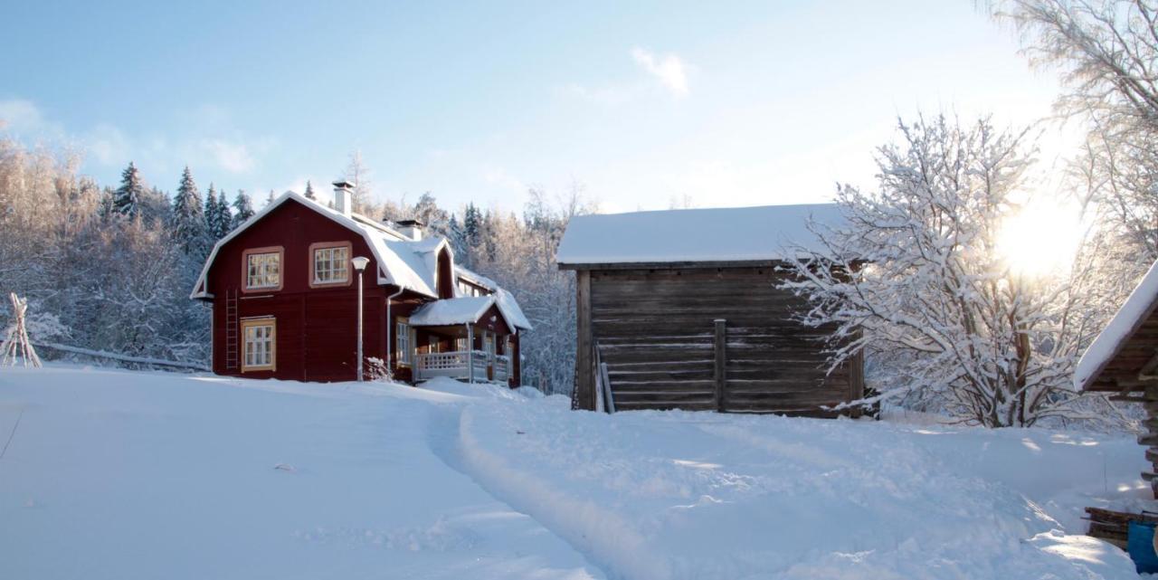 Kolin Mattila B&B Koli  Exterior photo