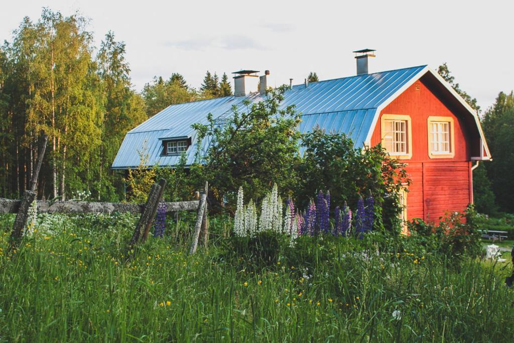 Kolin Mattila B&B Koli  Exterior photo